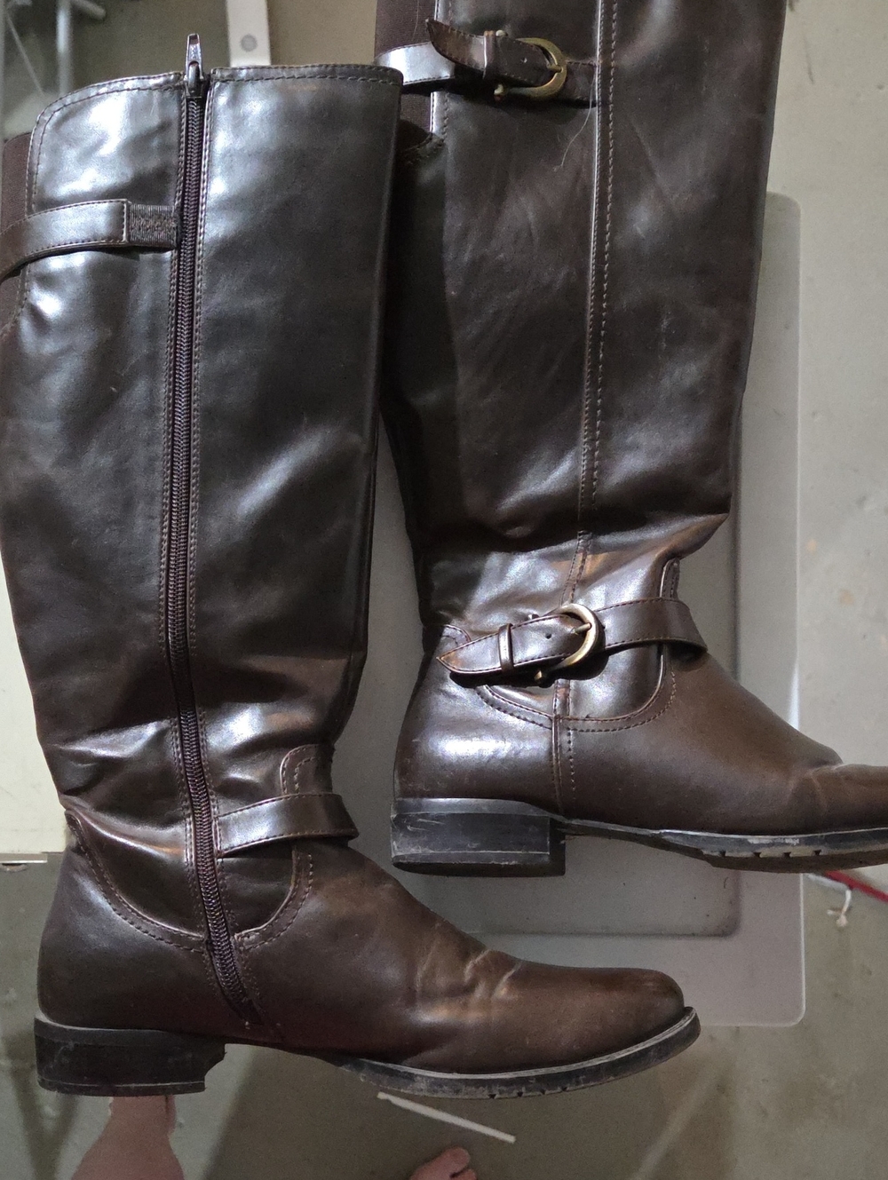 Bass Women's Dark Brown Leather Tall Riding Boots